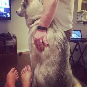 Meet your Posher, Stephen